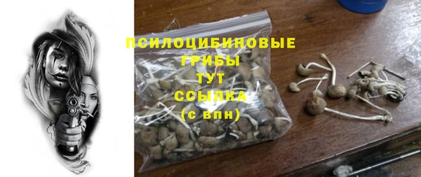 mix Белокуриха