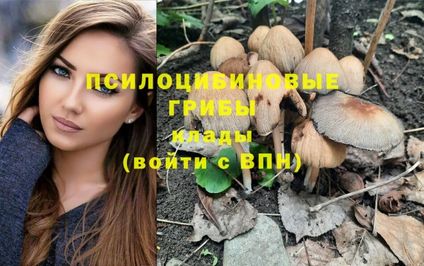 mix Белокуриха