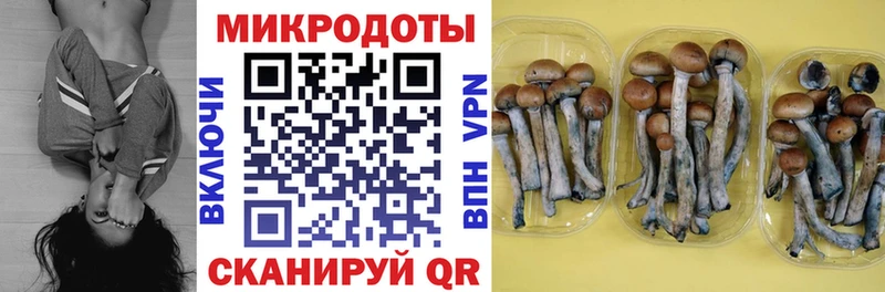 Псилоцибиновые грибы прущие грибы Покровск