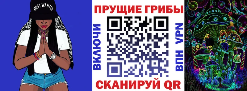 даркнет как зайти  Покровск  Галлюциногенные грибы Psilocybe 